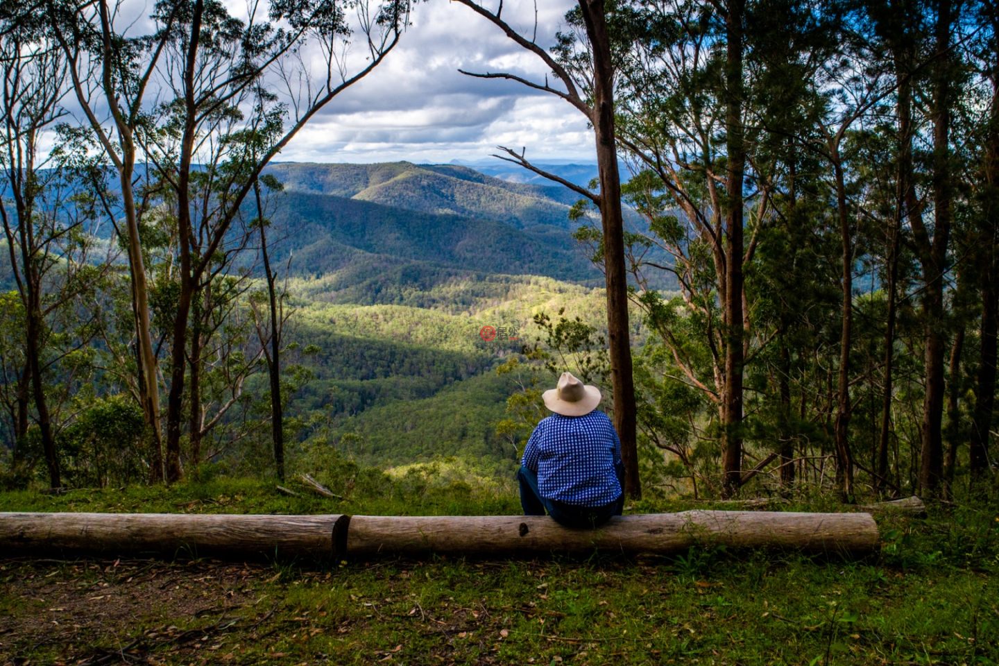 澳大利亚新南威尔士州Willsons Downfall的农场,224 Wallaroo Range Road,编号78492679