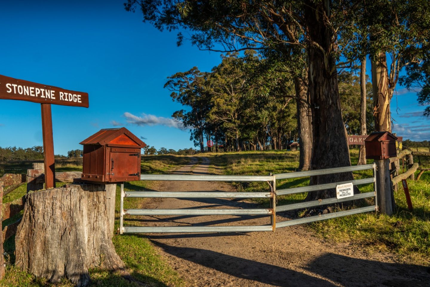 澳大利亚新南威尔士州Willsons Downfall的农场,224 Wallaroo Range Road,编号78492679