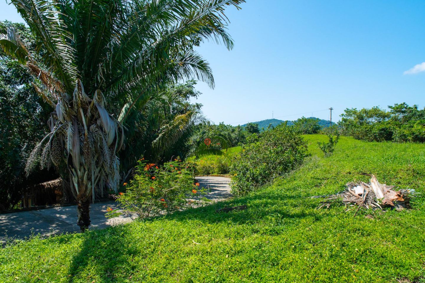 洪都拉斯海湾群岛Roatán的独栋别墅，Casita on 3 Acres Premier Land，编号76937988