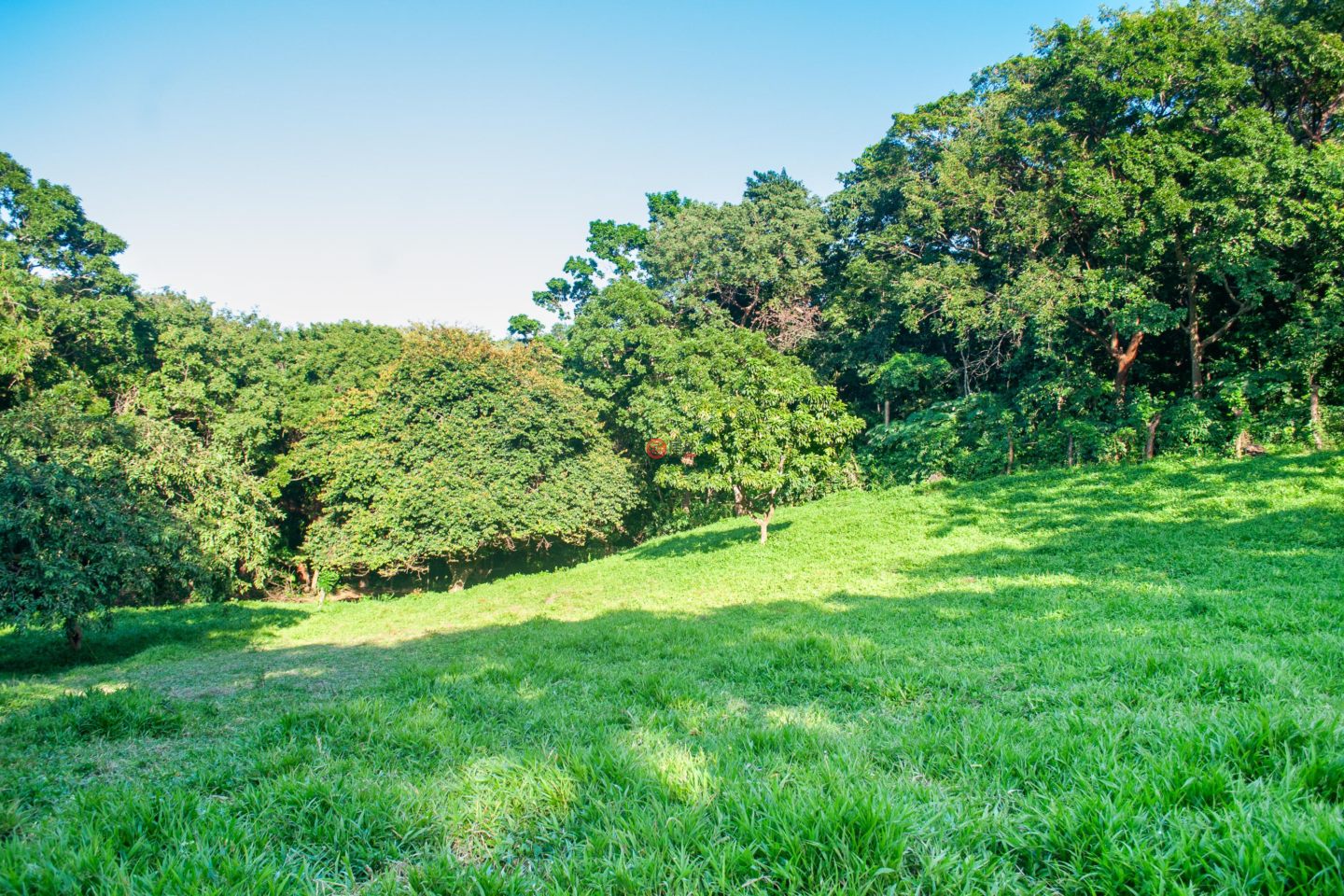 洪都拉斯海湾群岛瓜納哈島的独栋别墅，122 Acre Eco Estate with 3400 ft Beachfront，编号78468044