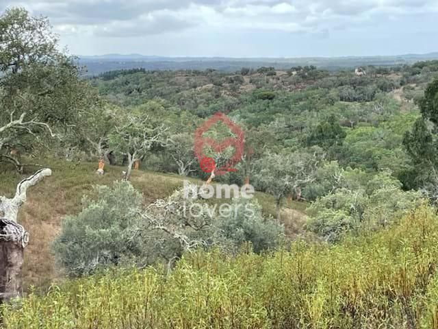 葡萄牙Santiago do Cacém的农业用地,编号78519640