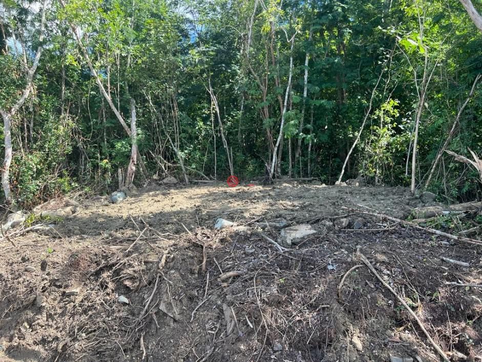 英属维尔京群岛的住宅用地，编号78505725