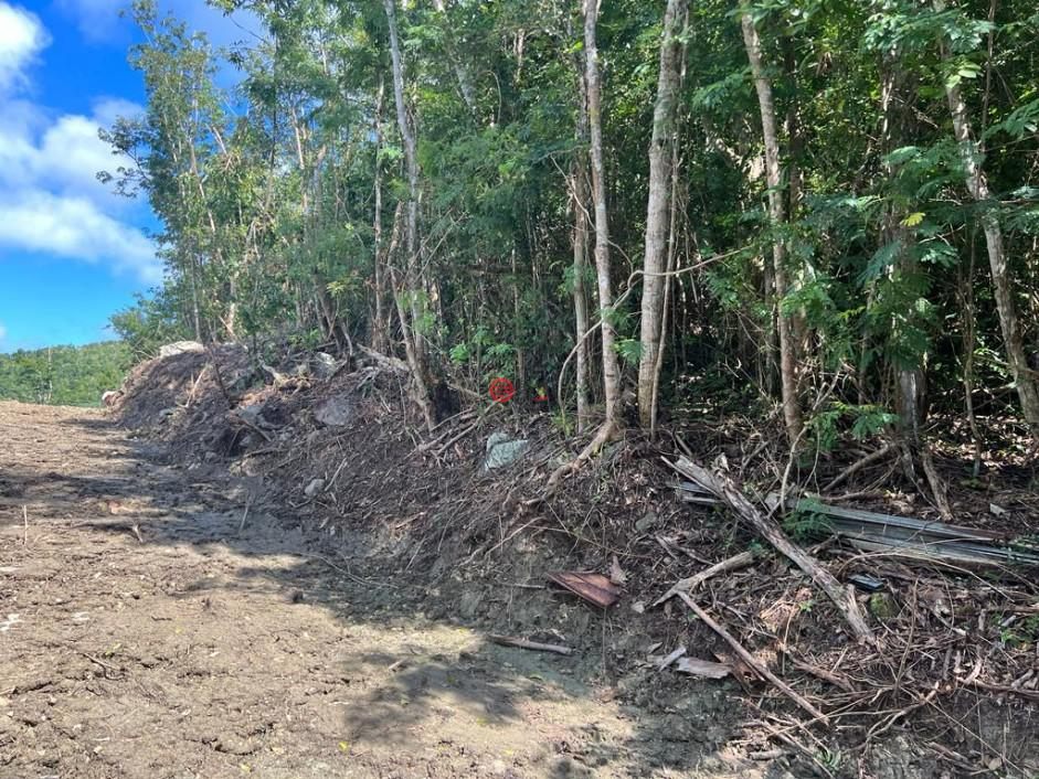英属维尔京群岛的住宅用地，编号78505725