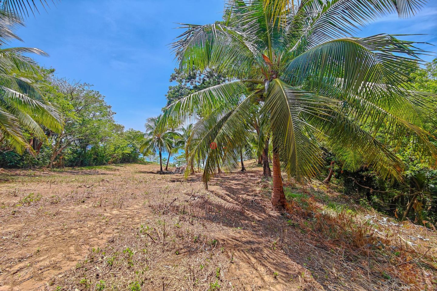 洪都拉斯海湾群岛Roatán的住宅用地，Beautiful Oceanfront Bluff Between West End & West Bay，编号78338279