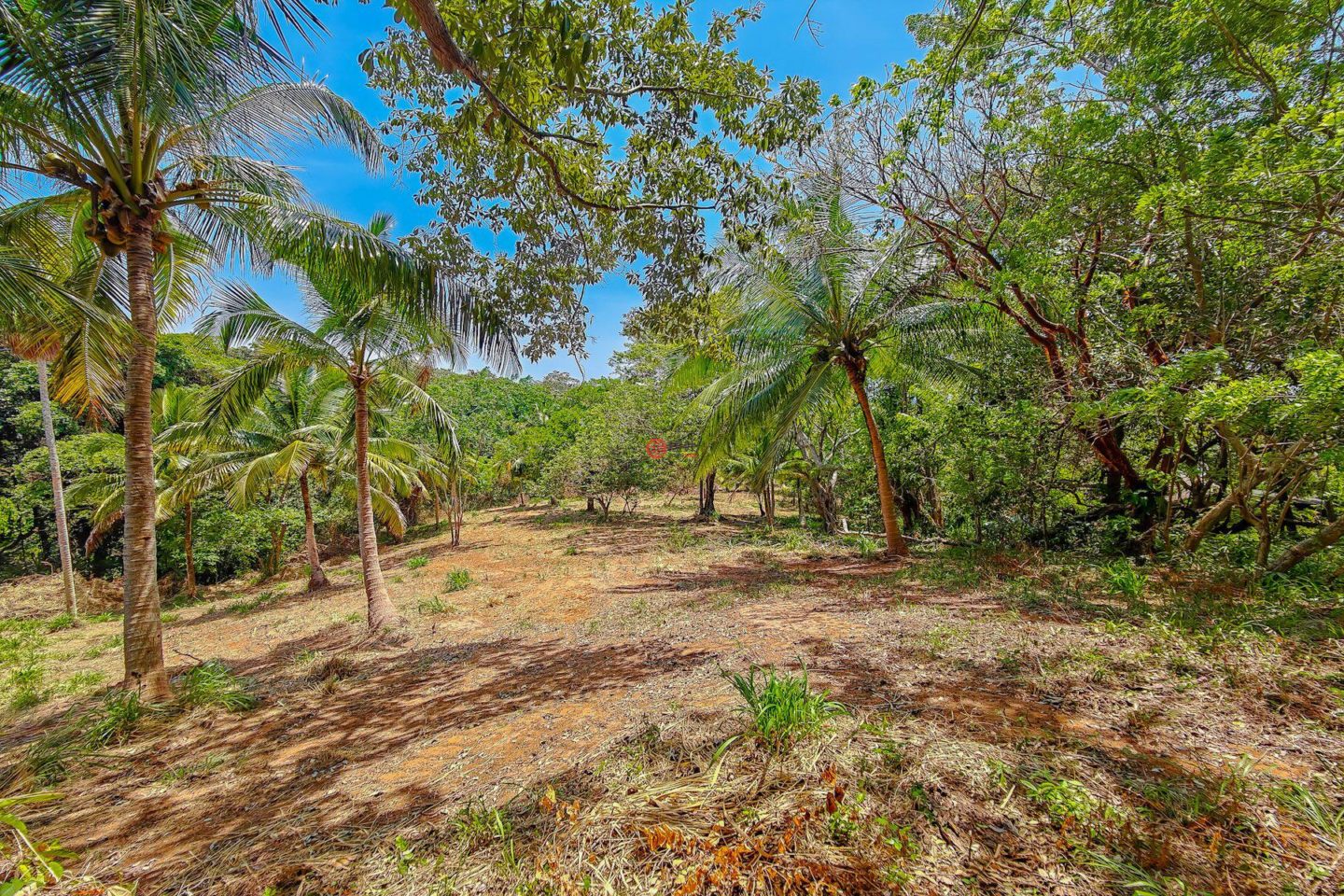 洪都拉斯海湾群岛Roatán的住宅用地，Beautiful Oceanfront Bluff Between West End & West Bay，编号78338279