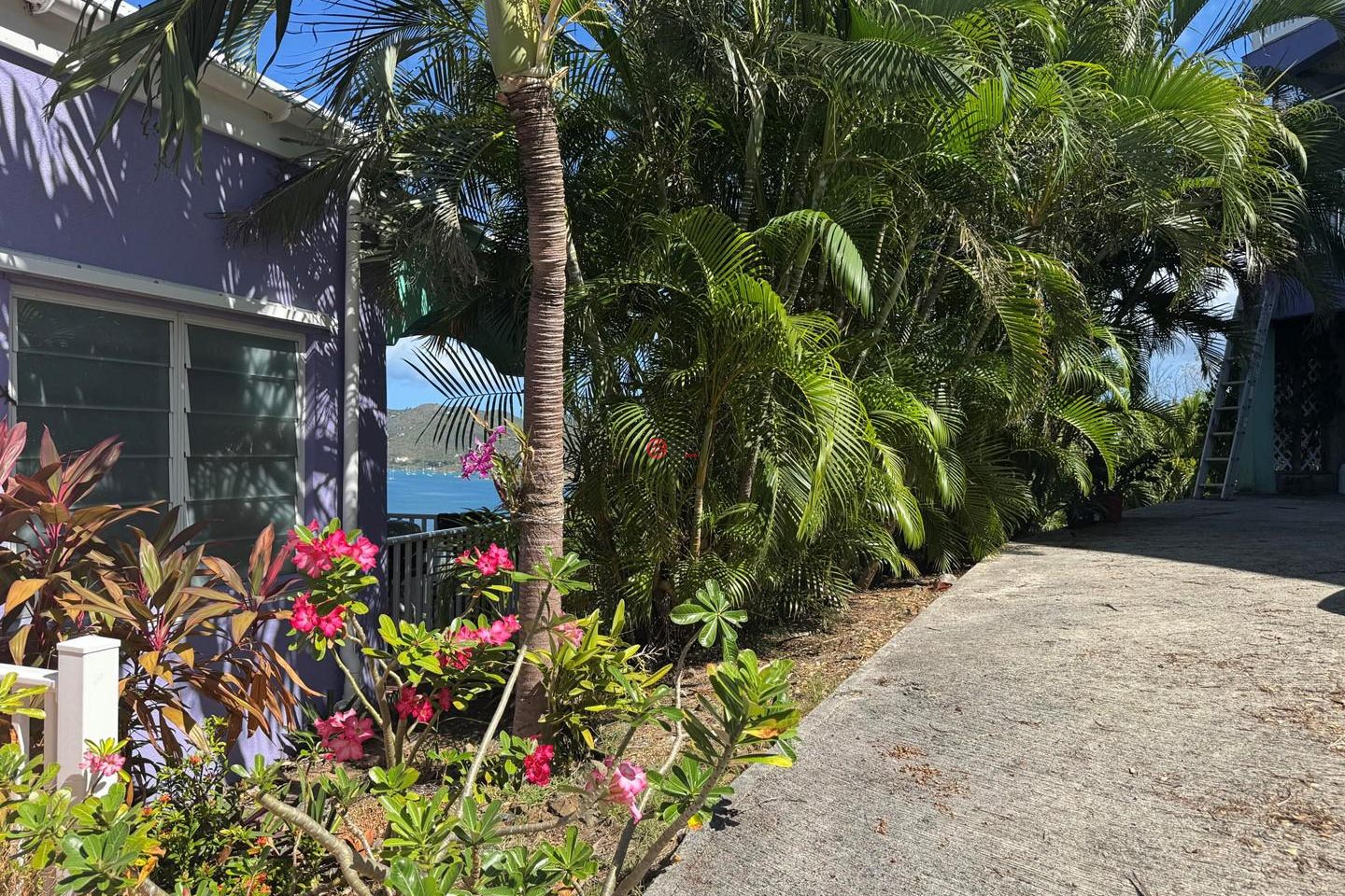 美属维京群岛的独栋别墅，6B-22 St. Quaco & Zimmerman，编号78112287