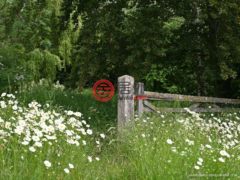 英国英格兰Stradbroke的独栋别墅，BARLEY GREEN FARM，编号78181683