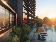 新加坡SingaporeSingapore的公寓，编号54012057