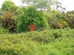 新西兰西海岸的独栋别墅，0 State Highway 73，编号14478822