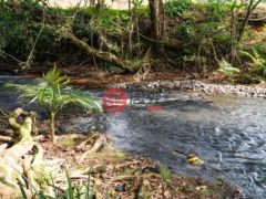 澳大利亚昆士兰Utchee Creek的独栋别墅，293 Utchee Creek Road，编号78061059