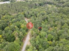 美国纽约州Edinburg的农业用地，3 Adk Acres prvt. Road (Lot 4)，编号78487652