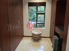 南非夸祖鲁纳塔尔Mtunzini的独栋别墅，Erf 374 12 Kiepersol Avenue Mtunzini，编号78016305