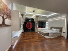 越南胡志明胡志明市的公寓，Thao Dien，编号77603084