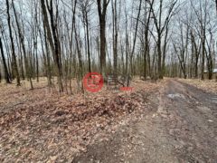 美国威斯康星州克兰登的住宅用地，None On ALLEN RD，编号77893990