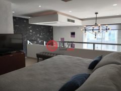 墨西哥金塔纳罗奥卡门海滩的公寓，10 Av. Sur，编号78524278