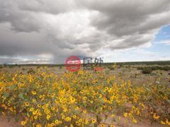 美国新墨西哥州Rowe的农业用地，Mile Marker 13 Nm Hwy 34，编号76986136