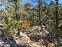 美国新墨西哥州Rowe的农业用地，Mile Marker 13 Nm Hwy 34，编号76986136
