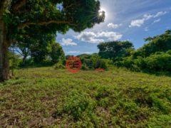 波多黎各Puerto RicoVieques的住宅用地，Lot 1 78 Puerto Ferro，编号76436230