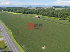 美国马里兰州Ridge的农业用地，49430 Harry James Rd，编号78485738