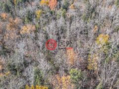美国威斯康星州菲尔普斯的住宅用地，None Off HAWK SOUP LN，编号77773574