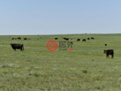 美国科罗拉多州阿克伦的农业用地，None 18755 Hwy 36，编号62535012