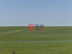 美国科罗拉多州阿克伦的农业用地，None 18755 Hwy 36，编号62535012