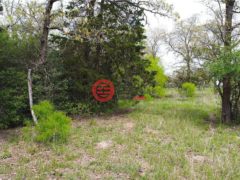 美国德克萨斯州Waelder的住宅用地，None 1825 Armstrong-Derry Road，编号77387883