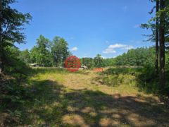 美国威斯康星州阿伯威泰的住宅用地，None Off HWY 51，编号78412494