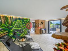 法国BrittanyGuidel的多单元，编号71328183