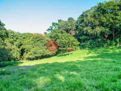 洪都拉斯海湾群岛瓜納哈島的独栋别墅，122 Acre Eco Estate with 3400 ft Beachfront，编号78468044