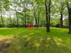 美国宾夕法尼亚州Somerset的农业用地，Lot 12 McKinley Drive，编号74487212