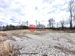 美国肯塔基州Salt Lick的农业用地，None 1105 Pendleton Branch Road，编号77444802