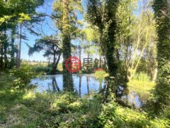法国BrittanyPlomodiern的独栋别墅，编号78289886