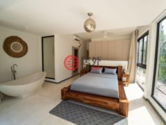 多明尼加萨马纳Las Terrenas的独栋别墅，Calle Salome Ureña，编号78300314