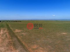美国新墨西哥州Stanley的农场，130 Judy Kay Tract H，编号62050619