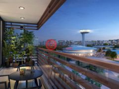 阿联酋迪拜迪拜的独栋别墅，Dubai - Sharjah Road，编号78509806