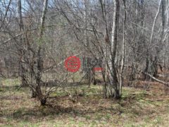 美国纽约州斯万莱克的住宅用地，None 927-943 Briscoe Road，编号77678491