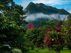 巴拿马科克莱El Valle的公寓，None El Valle de Antón Provincia de Coclé Panamá，编号74659323