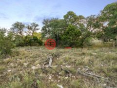 美国德克萨斯州布兰科的农业用地，124 NT Journey，编号68835667