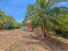 洪都拉斯海湾群岛Roatán的住宅用地，Beautiful Oceanfront Bluff Between West End & West Bay，编号78338279