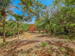 洪都拉斯海湾群岛Roatán的住宅用地，Beautiful Oceanfront Bluff Between West End & West Bay，编号78338279