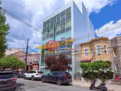 美国纽约州Brooklyn的办公室，CF-11 849 53rd Street，编号77743324