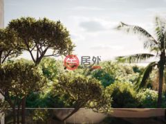 圣克里斯托弗和尼维斯岛NevisSt. Thomas Lowland的公寓，Nevis Peak Residences 4-204，编号77683418