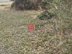 美国马里兰州马德拉斯普林斯的住宅用地，None US RT 50，编号77358627