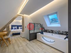 法国BrittanyGuidel的多单元，编号71329171