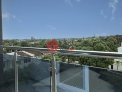 牙买加KingstonKingston的公寓，11 2 Hibiscus Drive，编号77809287