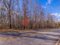 美国南卡罗来纳州艾诺丽的住宅用地，225 Frontier Road，编号76633184