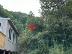 美国西佛吉尼亚州布卢菲尔特的独栋别墅，None 116 Atomic Court，编号77885021