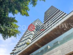 墨西哥Ciudad de MéxicoPolanco的公寓，Ruben Dario 225 101，编号48346330