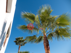 西班牙Balearic IslandsSanta Eulària des Riu的独栋别墅，Jesús，编号77573902
